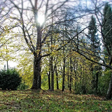 Del Rimedio Fucecchio